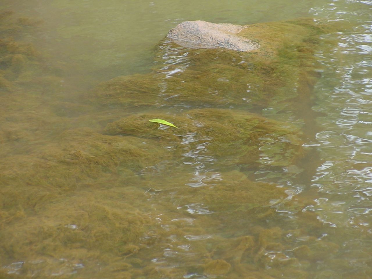 Photo credit, Karin Ponader