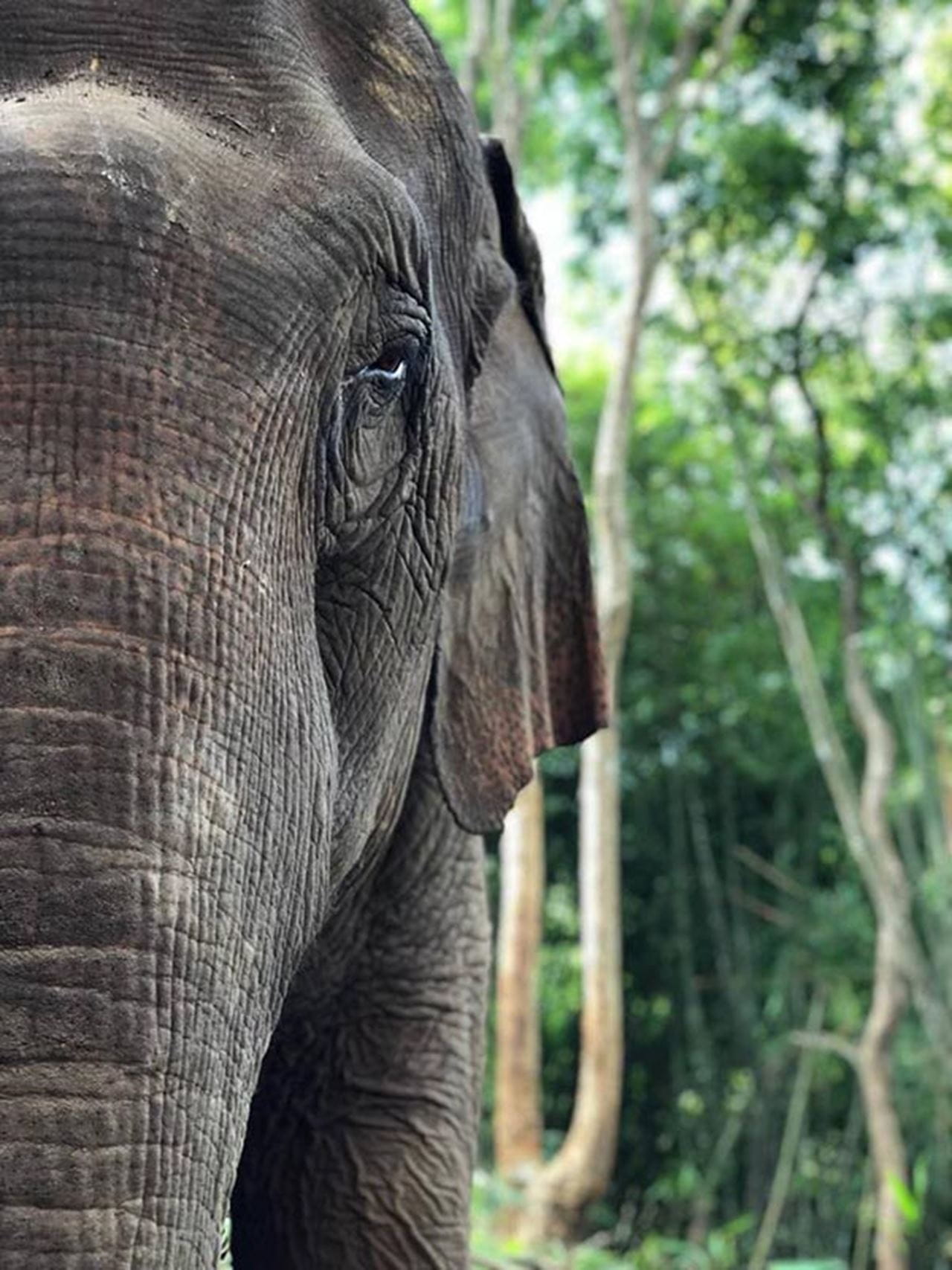 Study Abroad Photo Contest Fifth Place