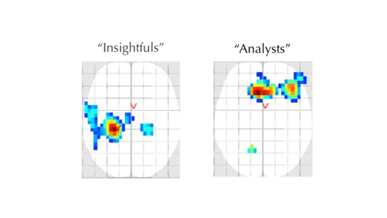 Maps of resting-state electrical brain activity, shown as a top view of the head. 