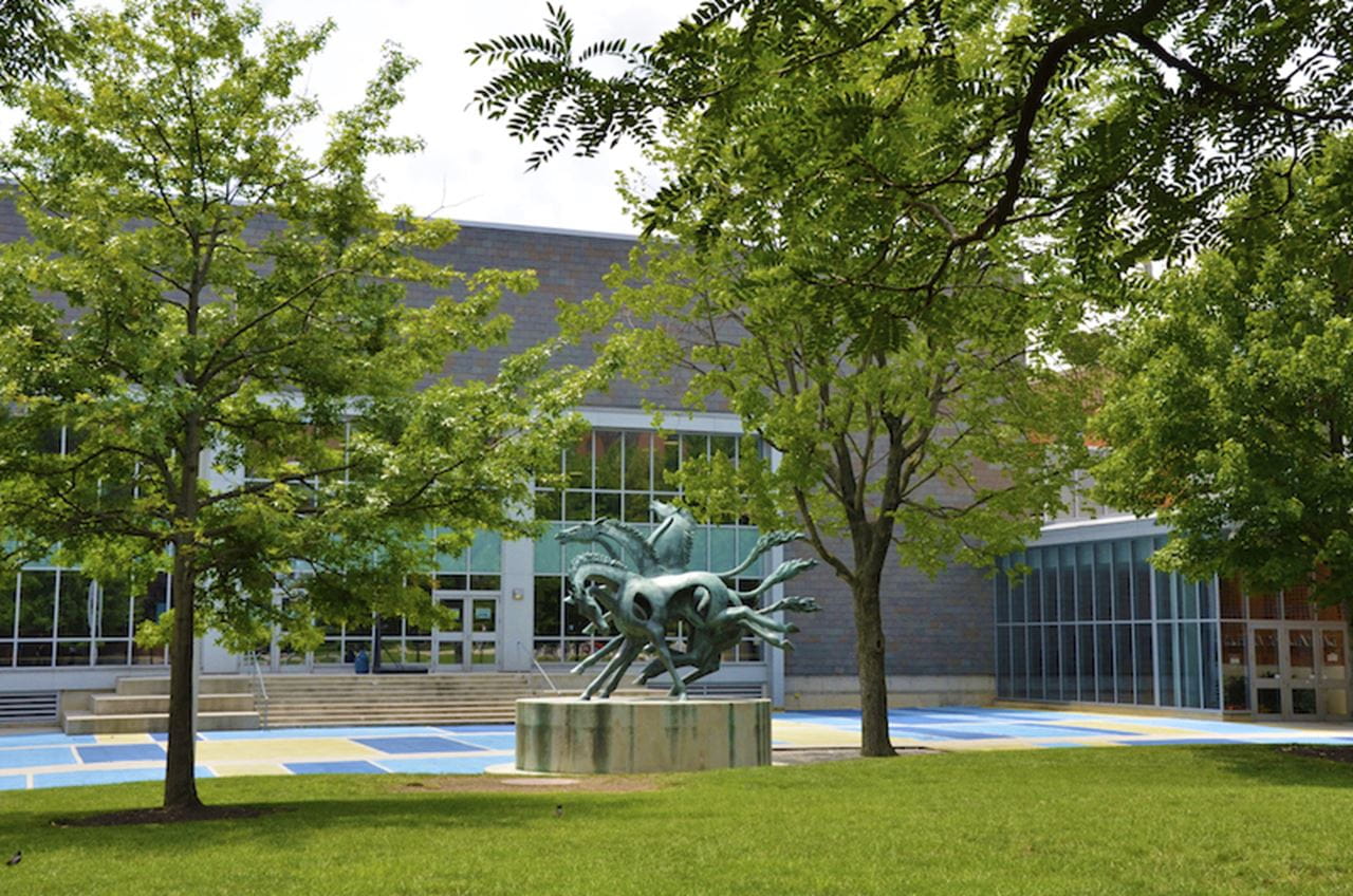 "Running Free" by Henry Mitchell.