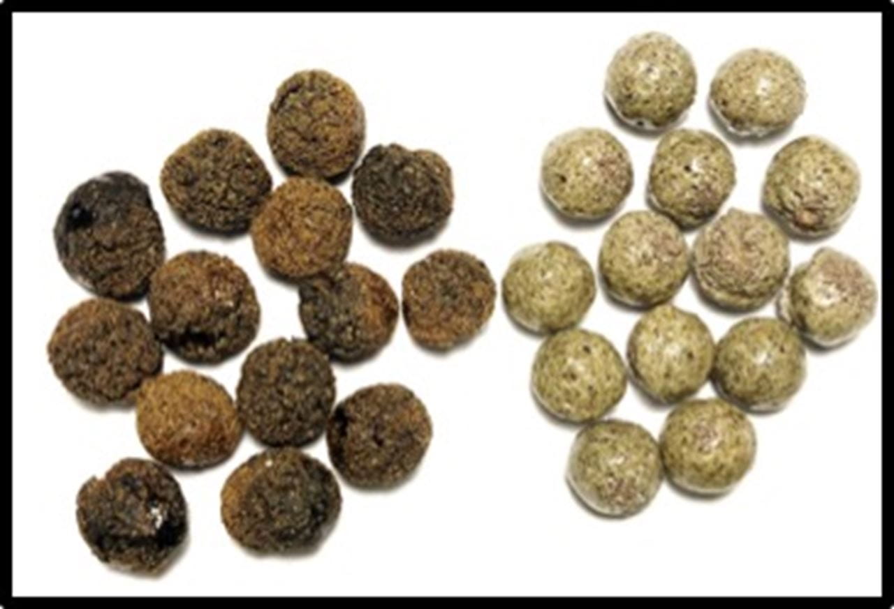 lightweight aggregates