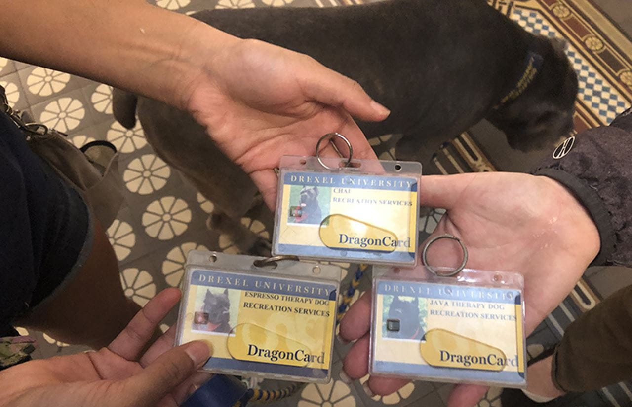 The offical University ID cards for each of the staff members. 