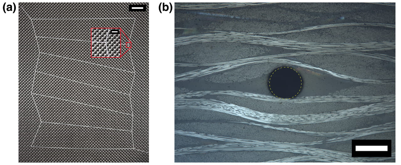 microvascular designs