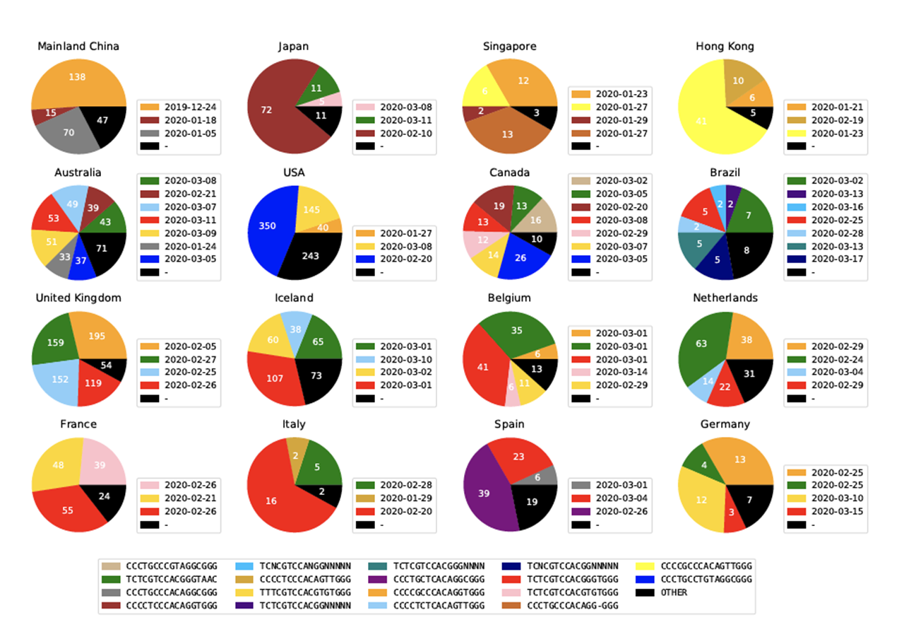 Genetic ISM subtype distribution