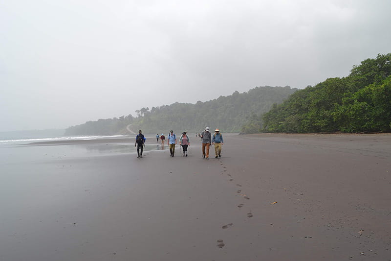 The Drexel delegation hiked to the Bioko program's research site on a beach monitoring marine turtles’ nesting grounds. Photo credit: Scott Cooper.
