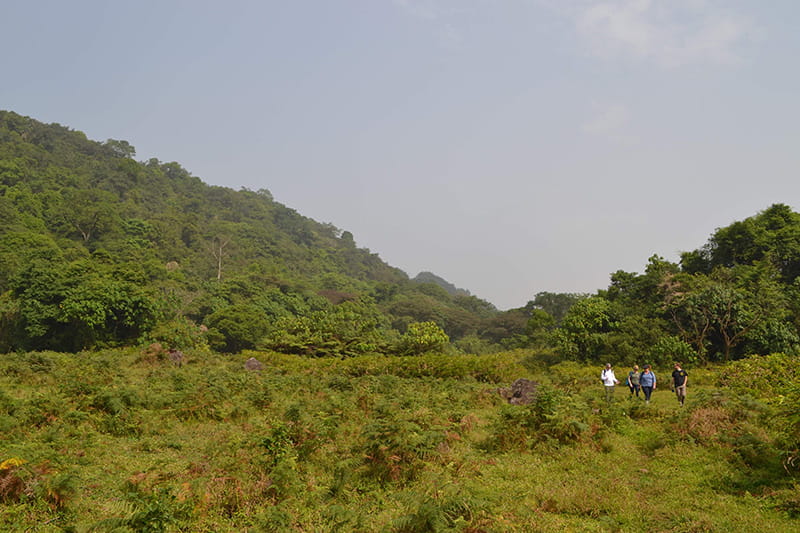 The group hiked near an ancient volcano to reach the Moka Wildlife Center. Photo credit: Scott Cooper