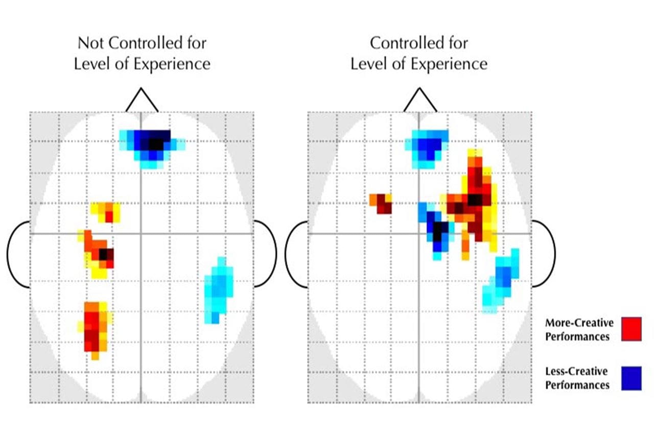 Graph image of activity in two brains being compared. 