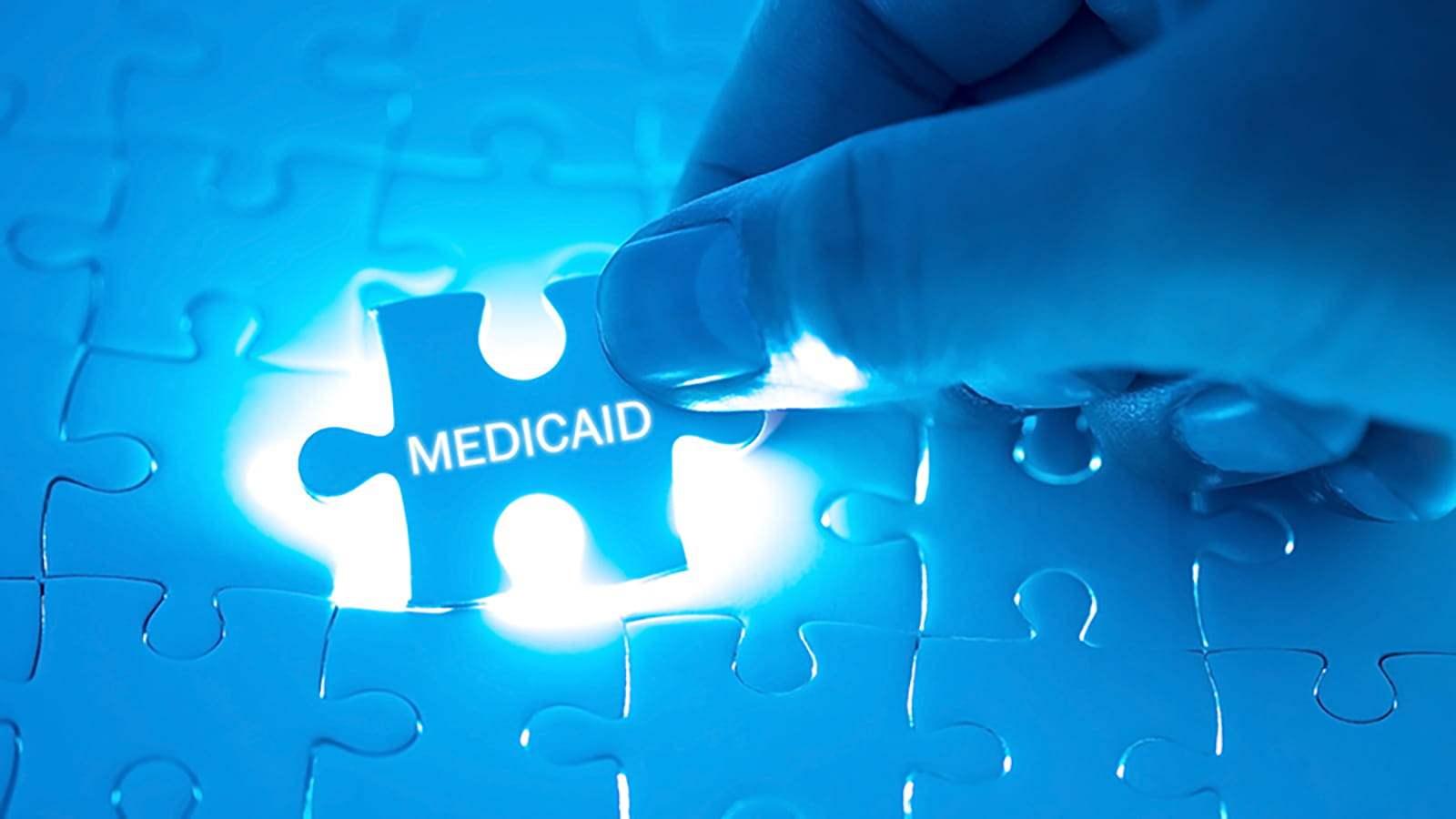 Puzzle piece with the word Medicaid on it