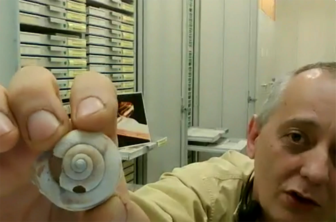 During his Global Research Symposium presentation “Snails Over Time,” Paul Callomon, manager of the Academy of Natural Sciences’ Malacology Department, showed a snail shell that has been partially dissolved. 