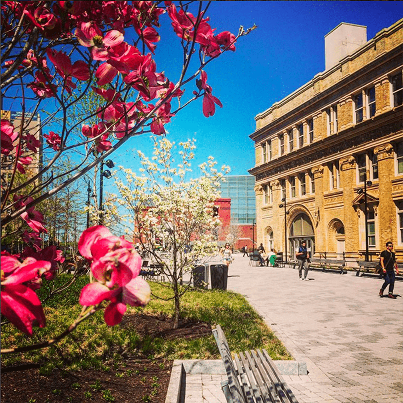 Main Building with flowers.