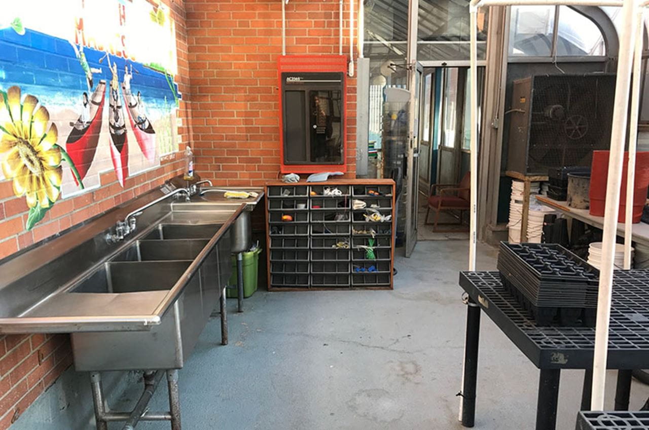 The renovated greenhouse space. Photo credit: Scott Dunham.