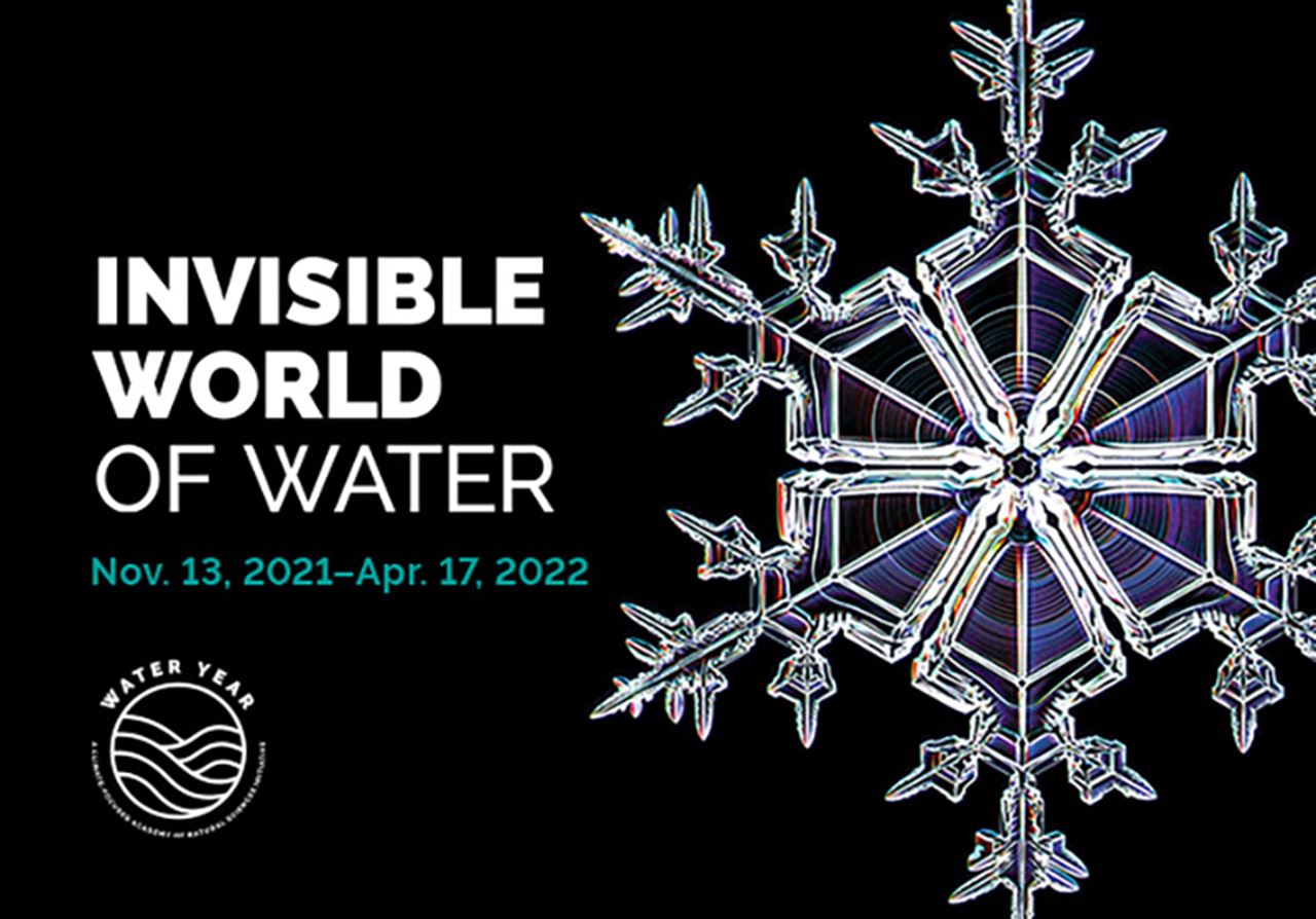 The Academy of Natural Sciences’ next art exhibit will feature a closer look of snow crystals (pictured here) and diatoms. Image courtesy Academy of Natural Sciences.