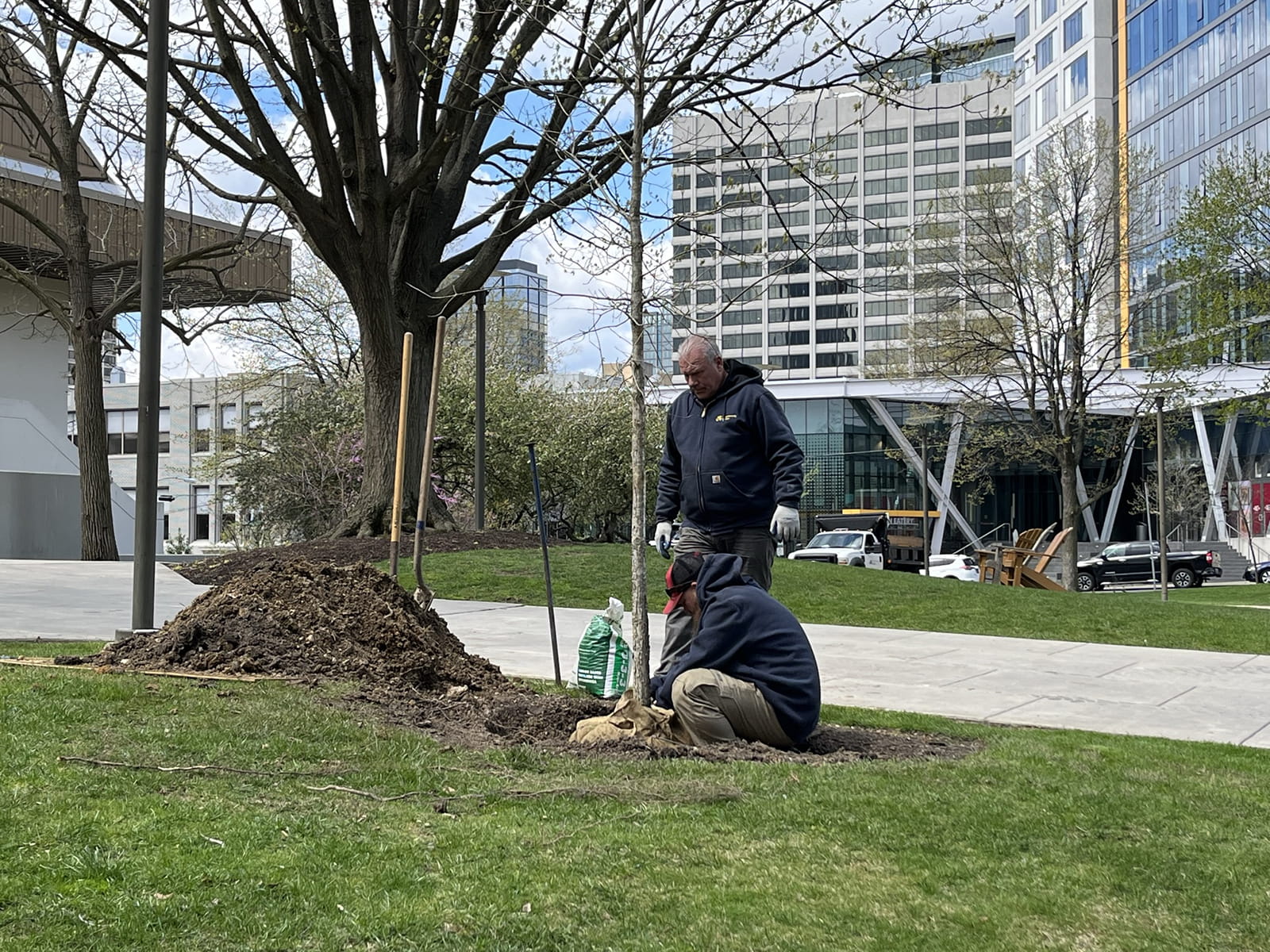 Two people planted a tree outside of the DAC.