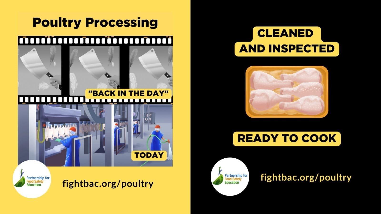 Animation of poultry processing