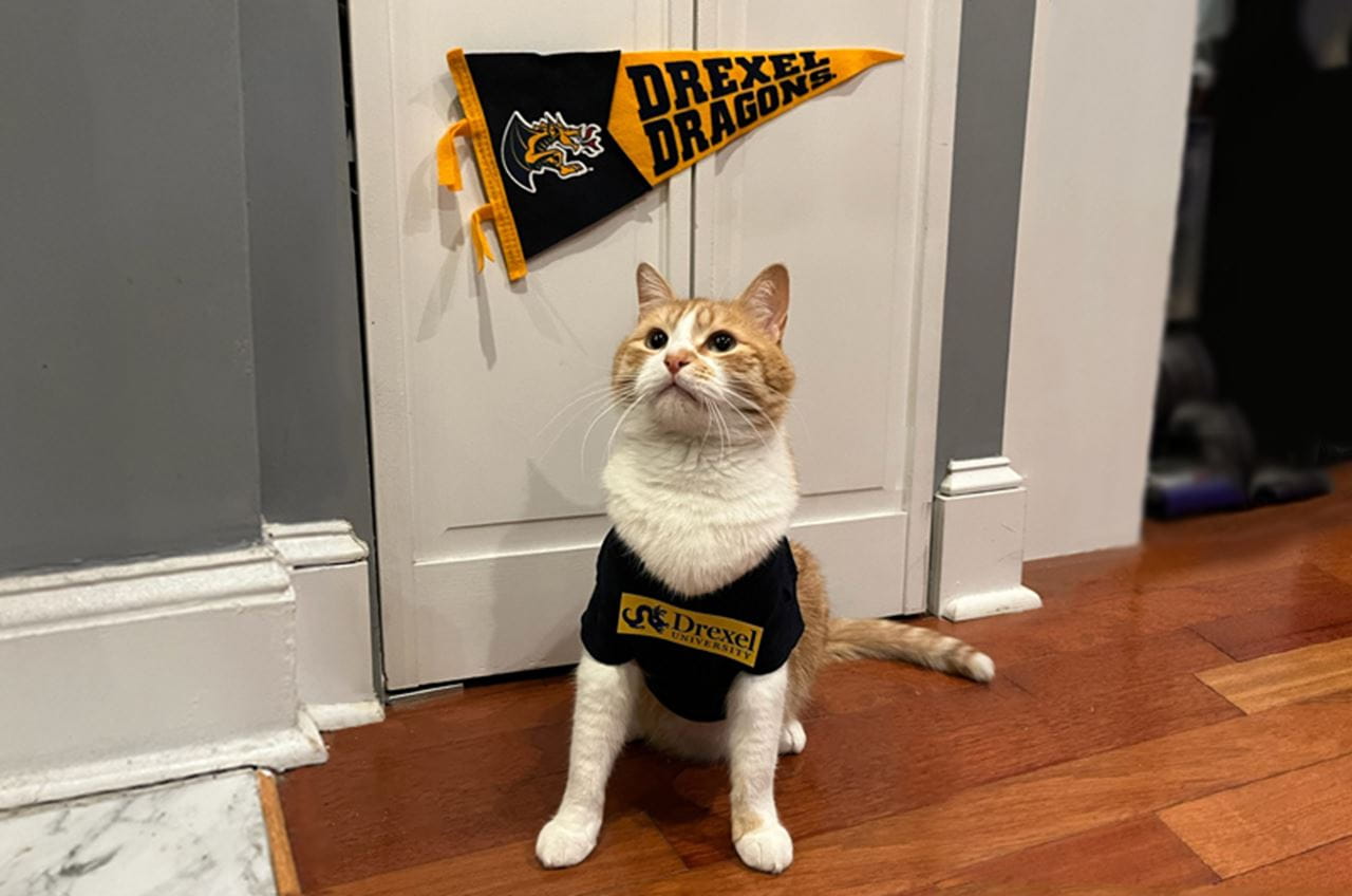 Herman the cat from the popular @hermanshooman TikTok account. Photo courtesy Patricia Kraus.