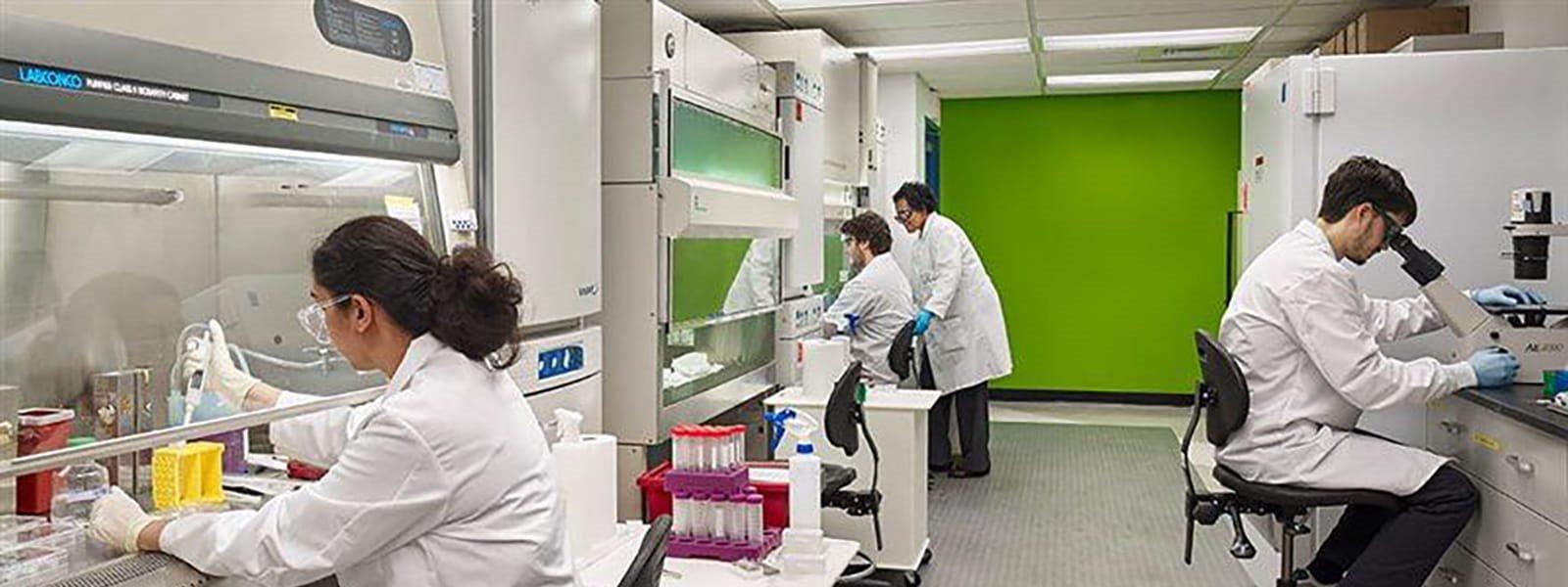 People in white lab coats looking into microscopes.