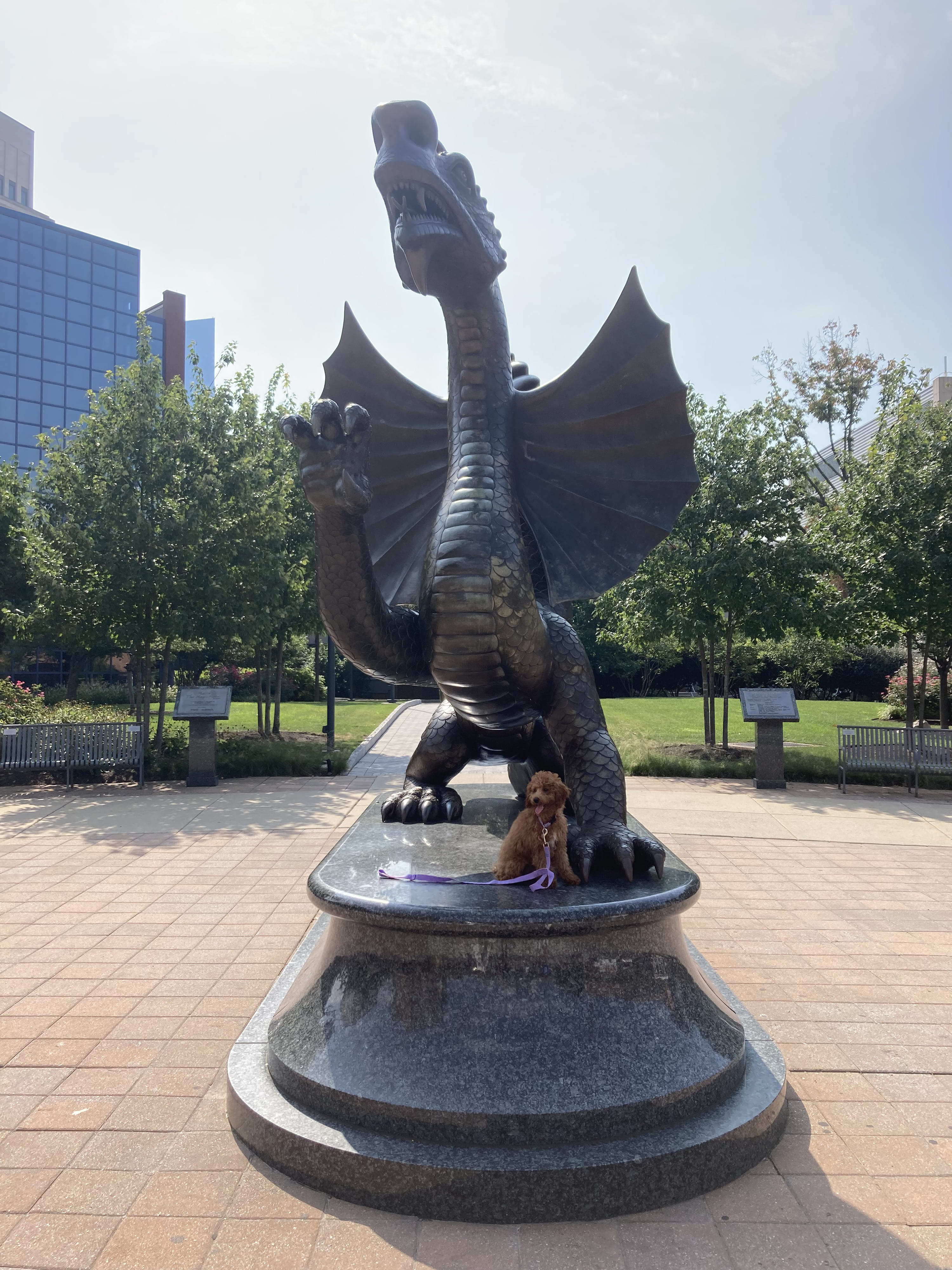 Daffodil and Mario. Photo credit: Jennifer Morley.