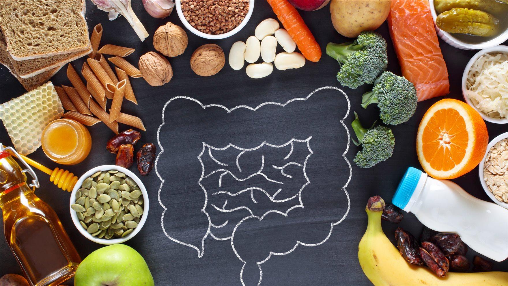 An image of a gut drawn on a chalboard and surrounded by food including nuts, broccoli, bananas, carrots and oranges.
