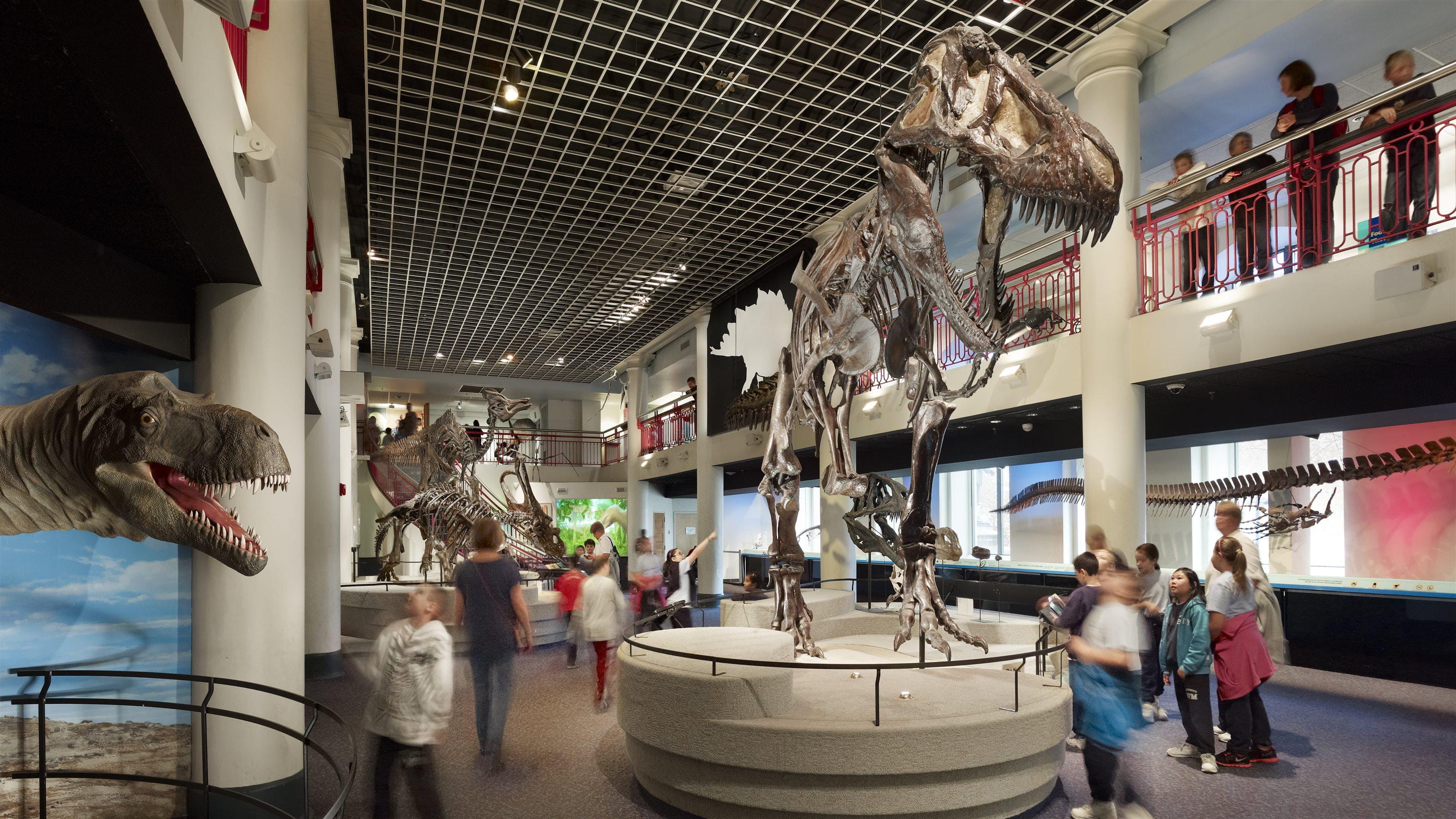 Dino Hall in Academy of Natural Sciences