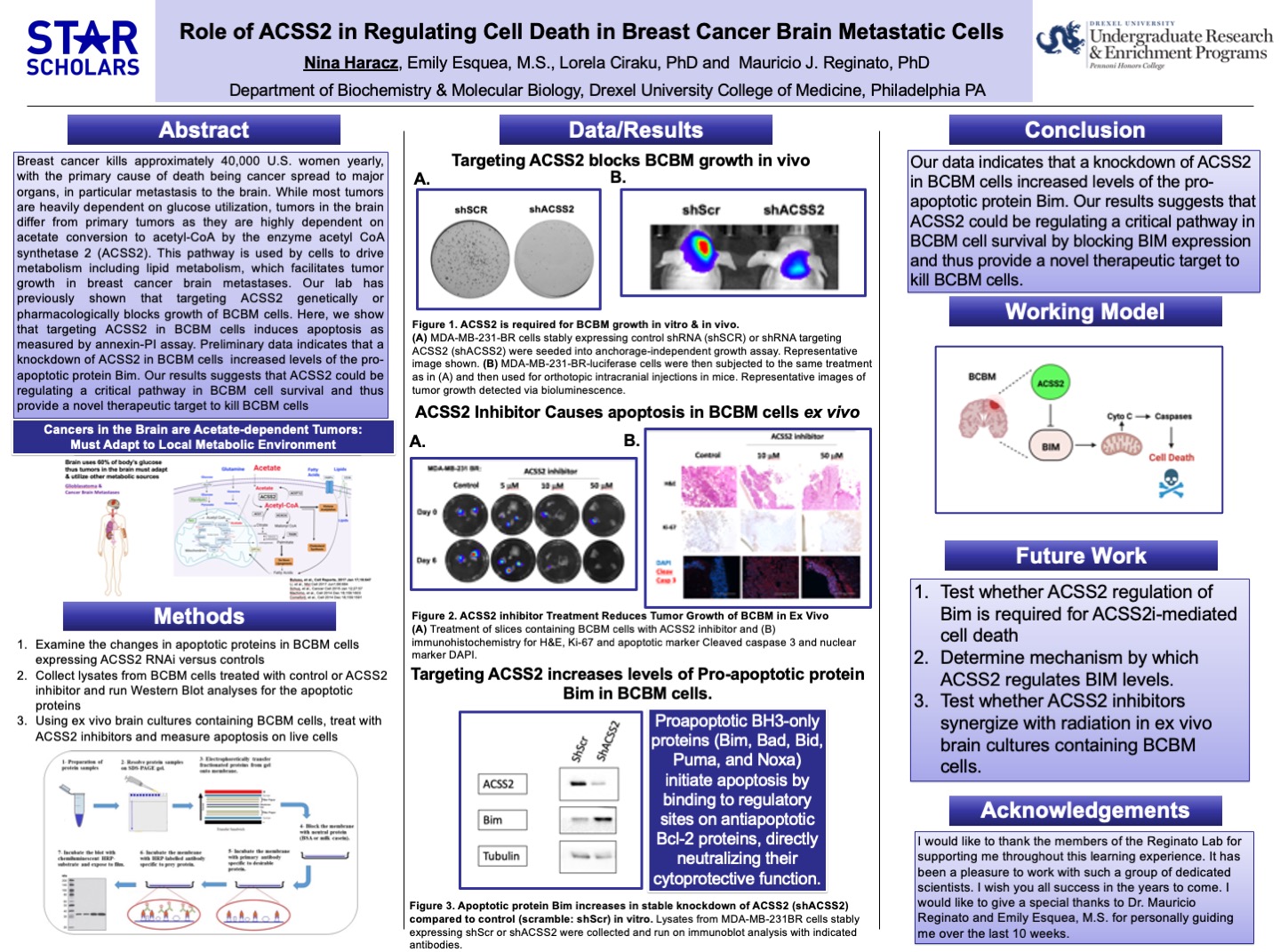 Poster detailing Nina Haracz's research