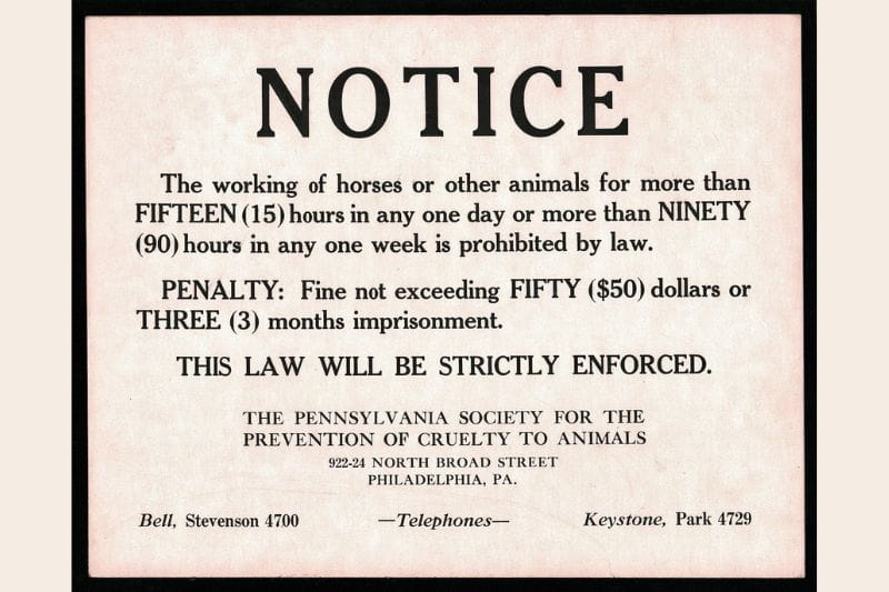  A plain off-white colored poster with the following message in black ink print "NOTICE// The working of horses or other animals for more than FIFTEEN (15) hours in any one day or more than NINETY (90) hours in any one week is prohibited by law.// PENALTY: Fine not exceeding FIFTY ($50) dollars or// THREE (3) months imprisonment.// THIS LAW WILL BE STRICTLY ENFORCED.// THE PENNSYLVANIA SOCIETY FOR THE// PREVENTION OF CRUELTY TO ANIMALS// 922-924 NORTH BROAD STREET// PHILADELPHIA, PA.// Bell, Stevenson 4700// -Telephones-// Keystone, Park 4729". 