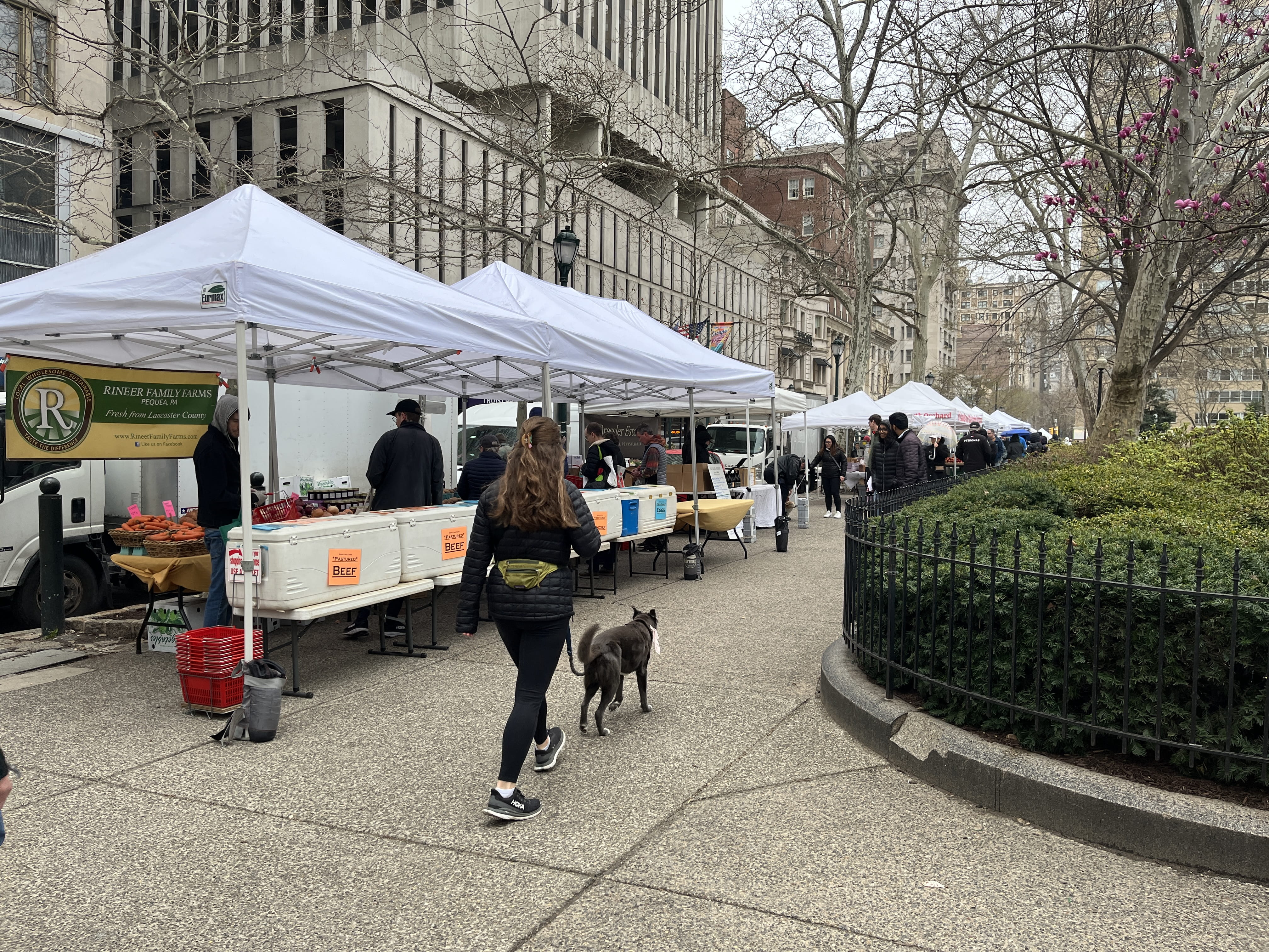 A woman and dog walk past a booth at the Rittenhouse Farmers Market