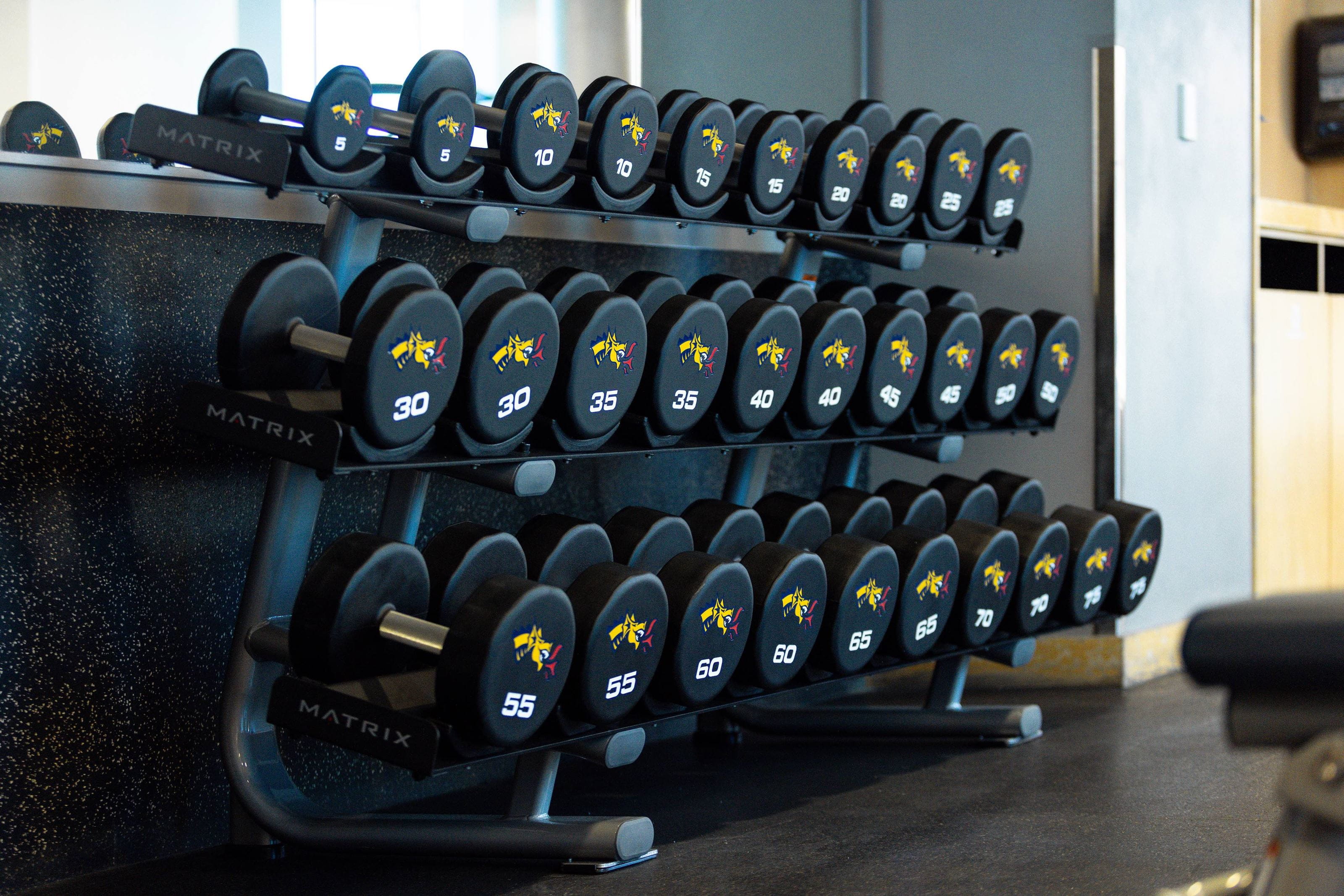 Drexel branded dumbbells