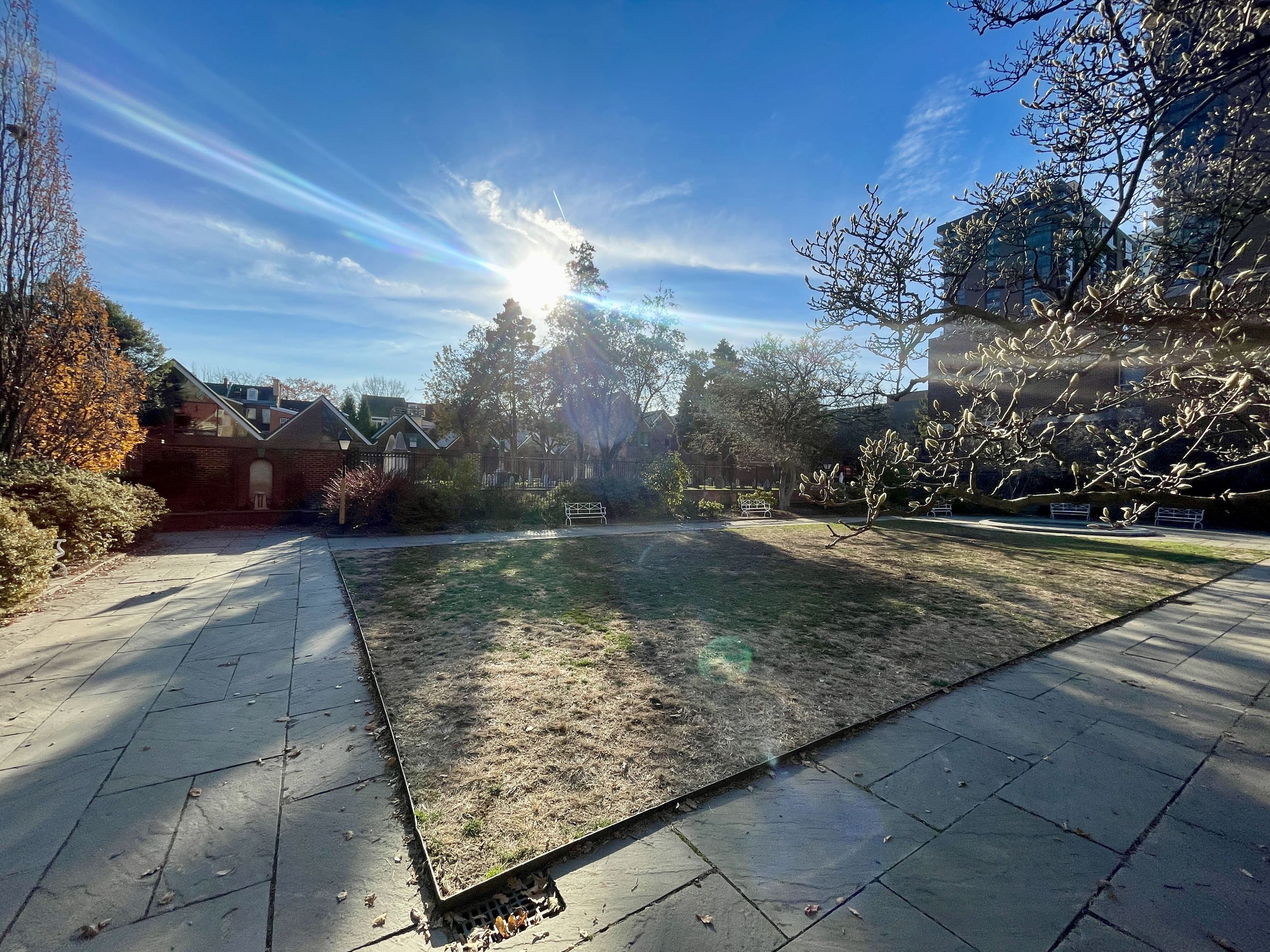 The Magnolia Garden in Philadelphia.