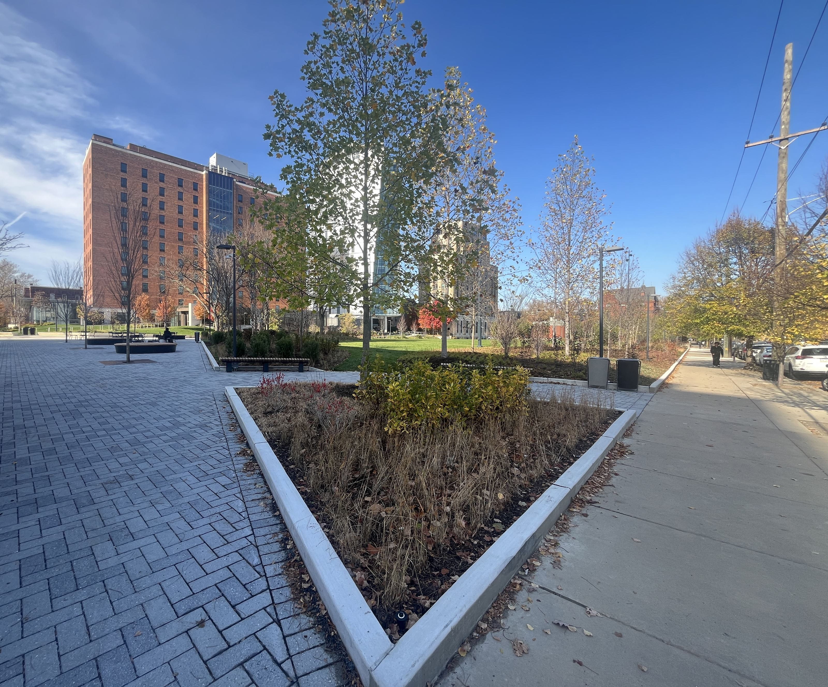 The space incorporates multiple types of seating options and an array of native plants. The three buildings in the background are Drexel residence halls, showing how close the space is to students on campus.