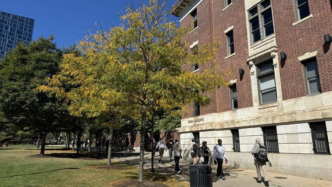 trees on lancaster walk turn colors