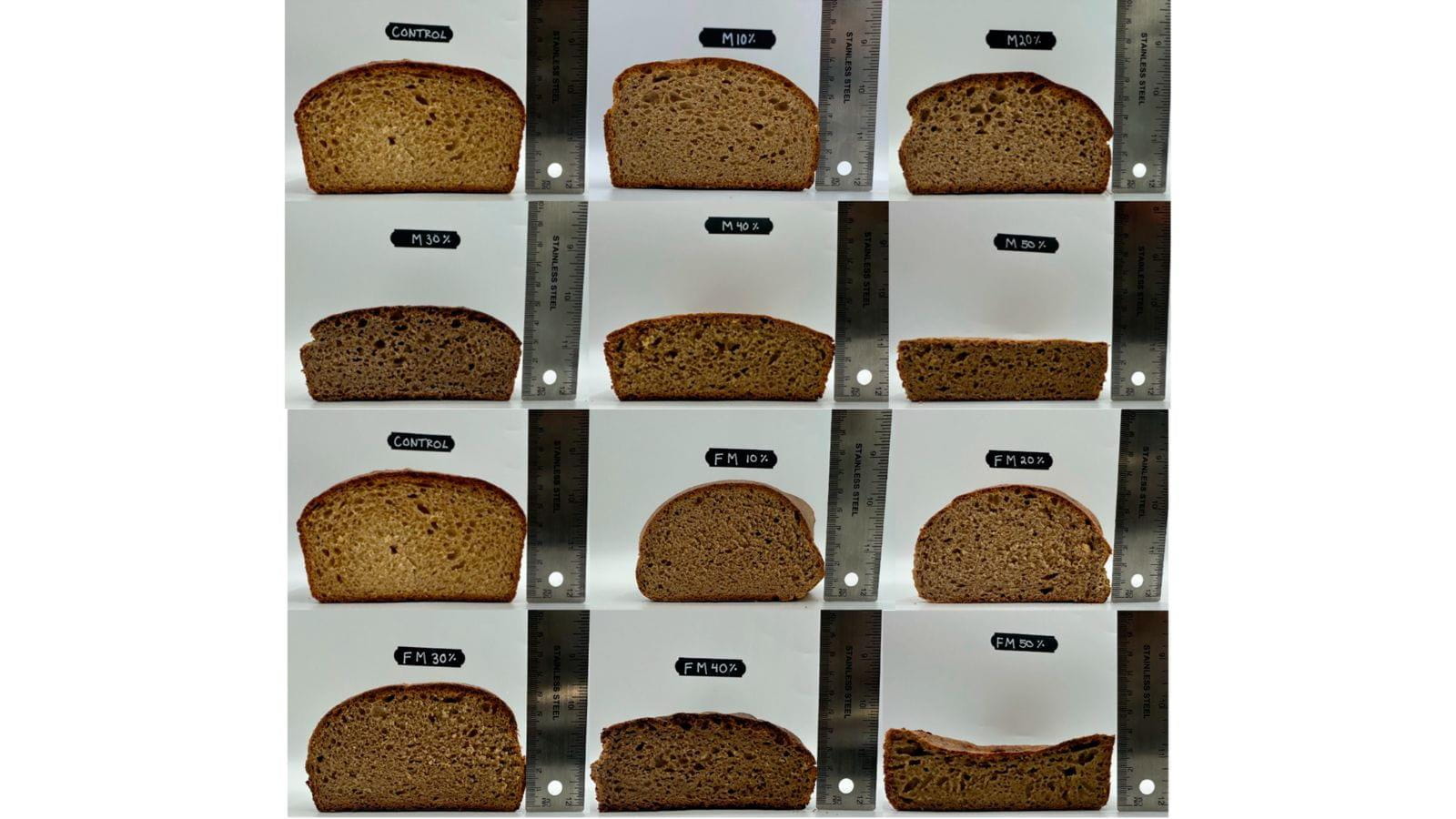 Grid of 12 photos of sandwich bread samples