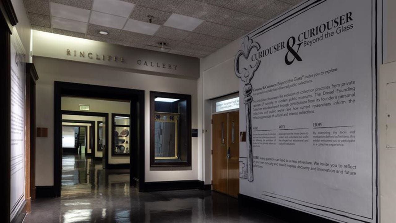 The hallway entrance to 'Curiouser and Curiouser'