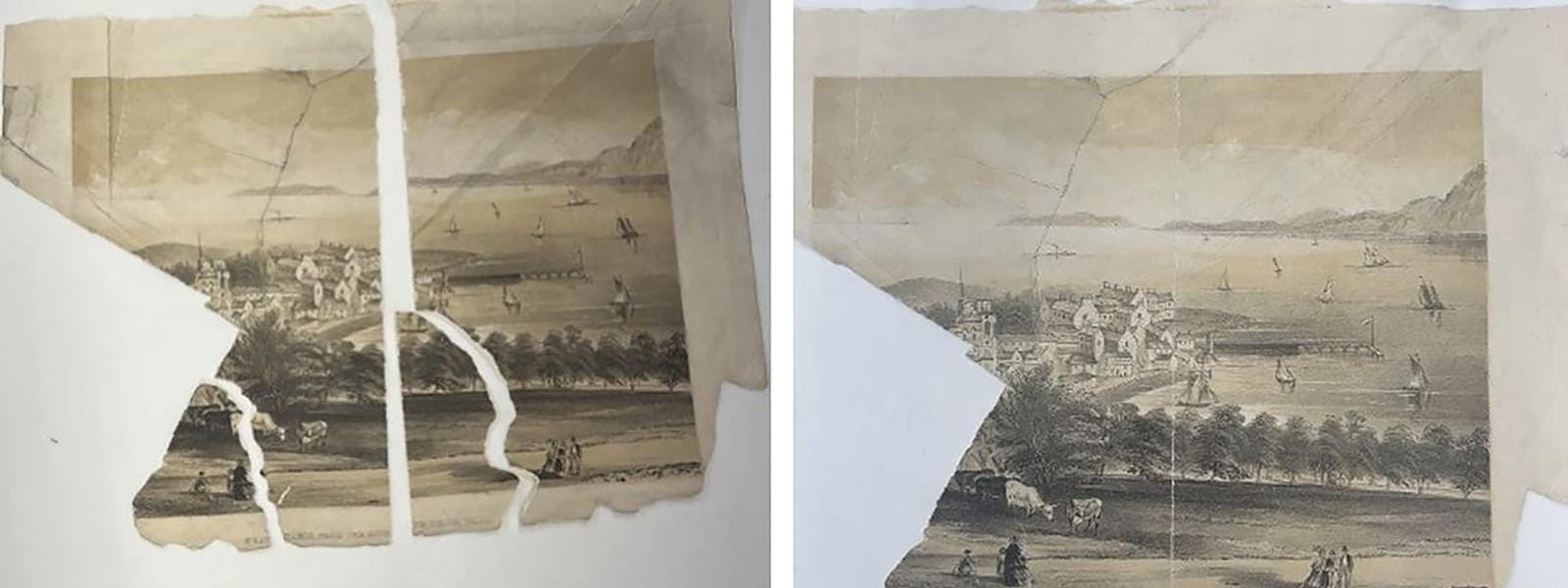 Two photos side by side showing torn pieces of a paper later reattached to it