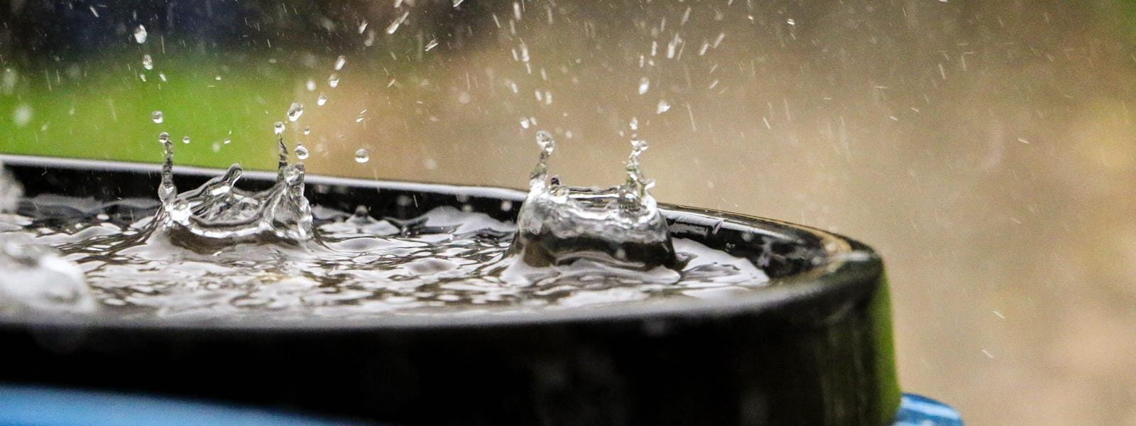 rain drop on barrel