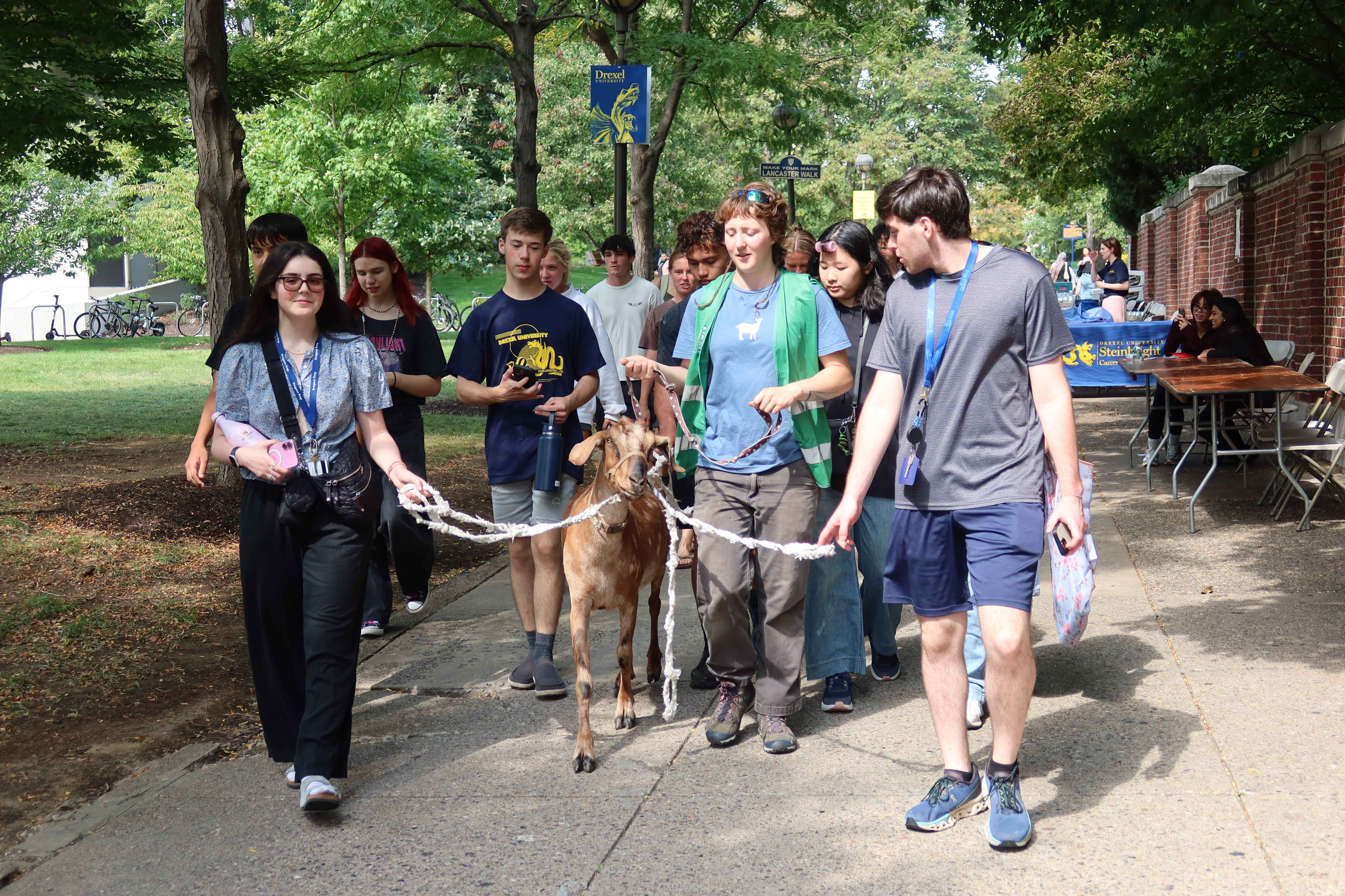 Students walk with a goat