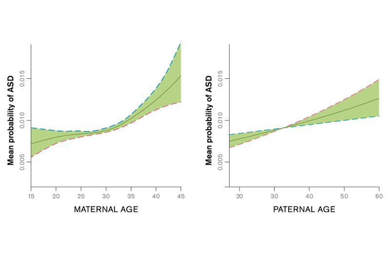 Generalized additive model estimates of probability of ASD by maternal and paternal age (years) in the Stockholm Youth Cohort. The 95% CIs are indicated by dashed lines. Based on Idring et al., International Journal of Epidemiology