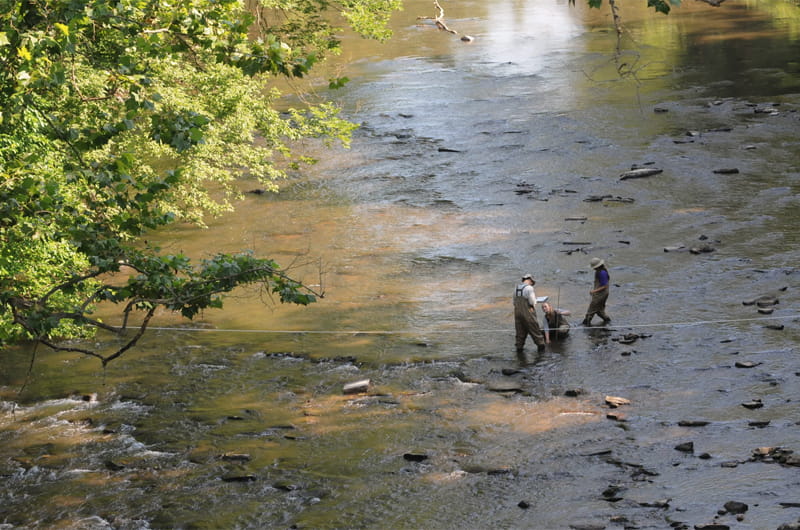 Academy of Natural Sciences of Drexel University scientists collect algae and examine the rocks and water depth in Manatawny Creek as part of the Delaware Watershed Conservation Program. Photo Credit: John Strickler/The Mercury. 