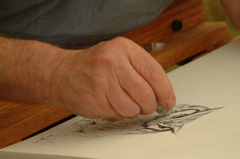 Man sketching an owl.