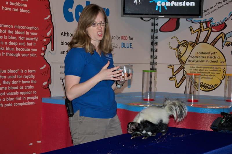 Teacher naturalist Caitlin Halligan at Academy of Natural Sciences' making a face as she presents on a skunk's scent to a group of children.