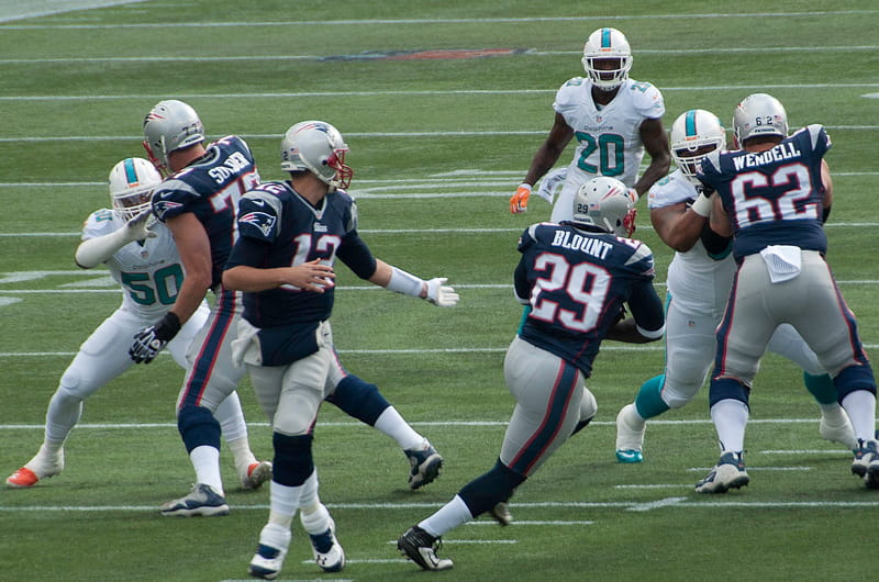 Tom Brady handing the football off during the 2014 season. Photo by Jack Newton (https://www.flickr.com/photos/jdn/10563140515/).