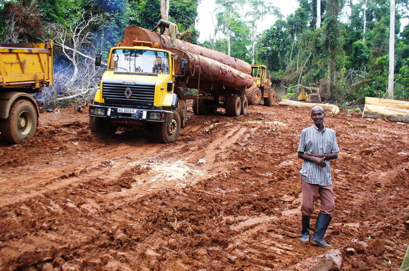 A legal logging operation in the Sui River Forest Reserve. Photo credit: Nicole Arcilla.