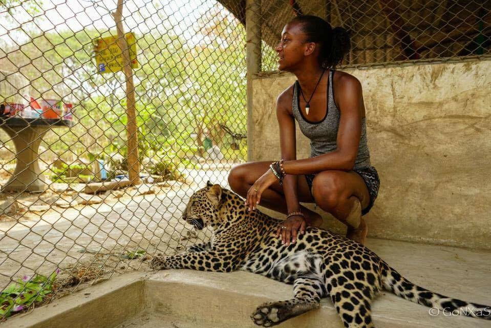 While working at the Safari Park Open Zoo in Kanchanaburi, Thailand, Coralie-Michele Francois (biology) takes a moment to chill with Hershey the Leopard.