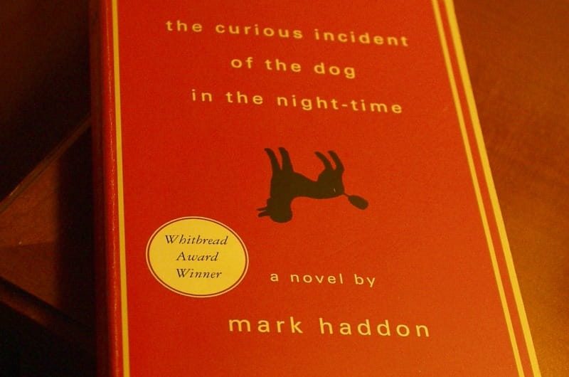 "The Curious Incident of the Dog in the Night-Time" by Mark Haddon was chosen as the 2017 One Book, One Philadelphia featured selection.