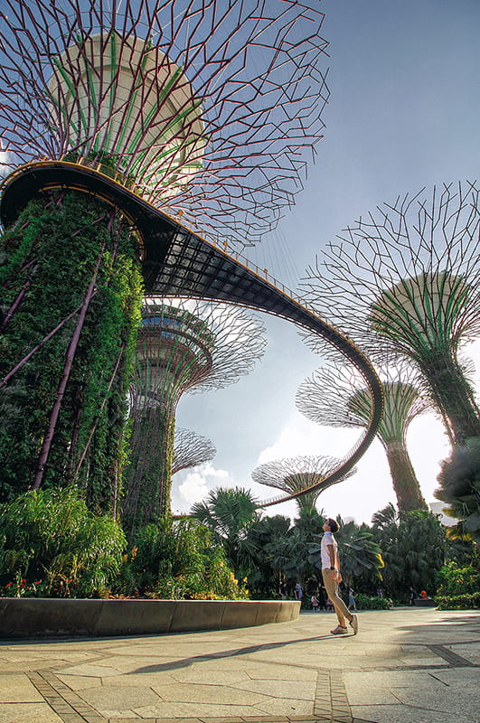 For the most recent 2019 co-op photo contest, Johnny Zhu ’19, a fifth-year marketing student in the LeBow College of Business, submitted this photo of him posing under solar-powered “supertrees” in Singapore’s Gardens by the Bay. He completed a co-op at Strategic Public Relations Group in the country. 