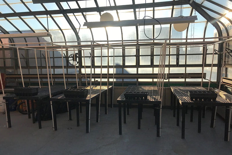 Tables ready to be used in the greenhouse. Photo credit: Scott Dunham.