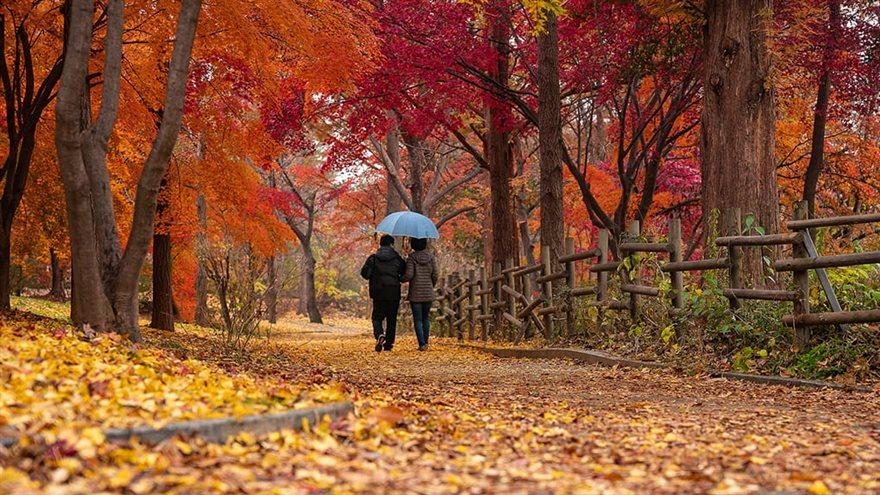 Couple walking on path surrounded by trees