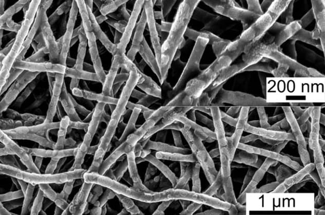 carbon nanofiber cathode