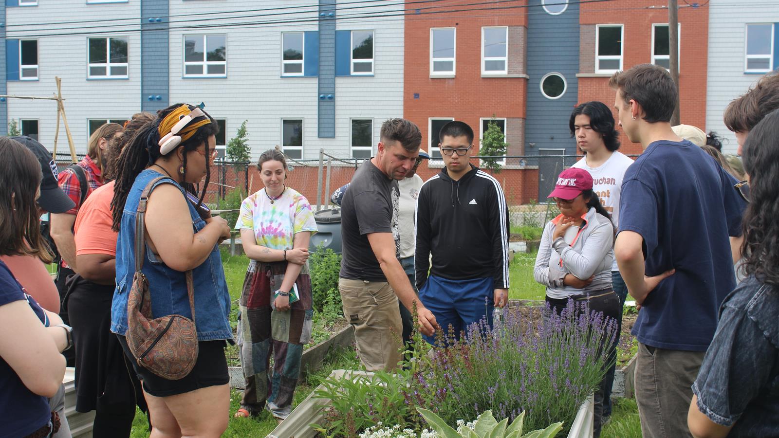 A class gathers around a garden box