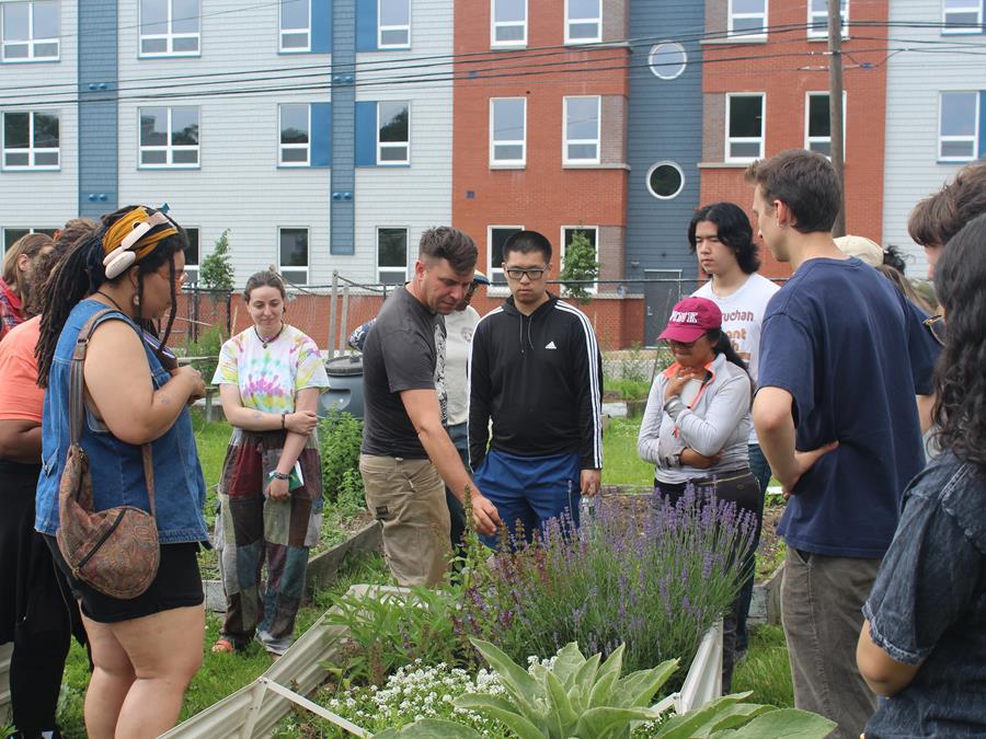 A class gathers around a garden box