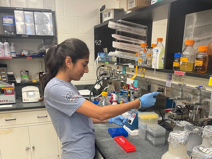 A student working on research in a lab
